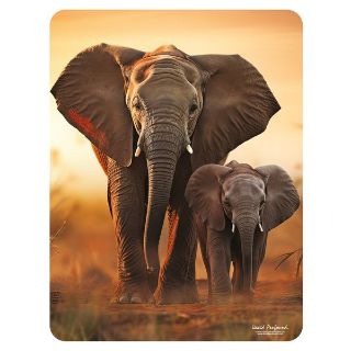Obrázek z Magnet 3D 7x9cm - sloni při západu slunce (25) 